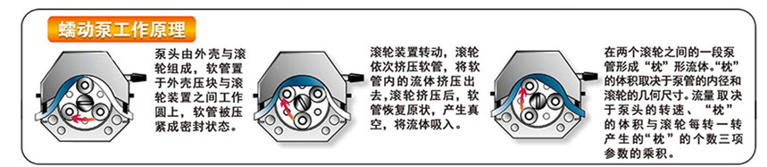 蠕動(dòng)泵工作原理